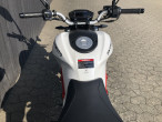 2025 Skymoto Little Monster