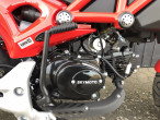 2025 Skymoto Little Monster