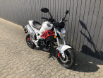 2025 Skymoto Little Monster