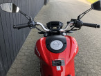 2025 Skymoto Little Monster