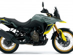 2025 Suzuki DL 800 DE V-Strom