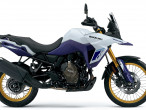 2025 Suzuki DL 800 DE V-Strom