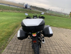 2025 Suzuki DL 800 DE V-Strom