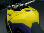 2025 Suzuki DL 800 DE V-Strom