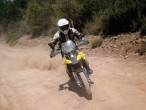 2025 Suzuki DL 800 DE V-Strom