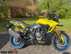 2025 Suzuki DL 800 DE V-Strom