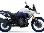 2025 Suzuki DL 800 DE V-Strom