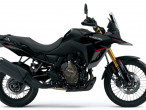 2025 Suzuki DL 800 DE V-Strom