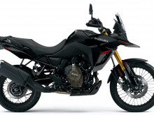 Suzuki DL 800 DE V-Strom
