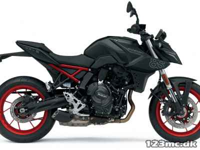 Suzuki GSX-8S