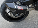 2025 Suzuki GSXS 1000