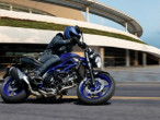 2025 Suzuki SV 650