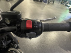2025 Triumph Bonneville T 120