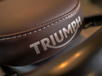 2025 Triumph Scrambler 400 X