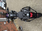 2025 Triumph Tiger 1200 Rally Pro 2025 Triumph Tiger 1200 Rally Pro