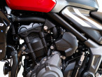 2025 Triumph Trident