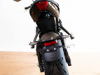 2025 Triumph Trident