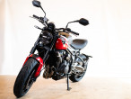 2025 Triumph Trident