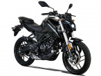2025 Voge R 125