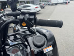 2025 Yamaha Grizzly 700 EPS SE