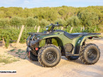 2025 Yamaha Kodiak 450 EPS 2025 Yamaha Kodiak 450 EPS