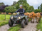 2025 Yamaha Kodiak 450