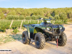 2025 Yamaha Kodiak 450