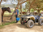 2025 Yamaha Kodiak 450