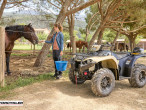 2025 Yamaha Kodiak 450 2025 Yamaha Kodiak 450