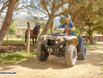 2025 Yamaha Kodiak 450