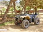 2025 Yamaha Kodiak 450