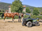 2025 Yamaha Kodiak 700