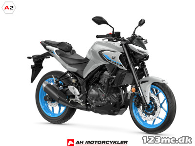 Yamaha MT-03 Ice Storm