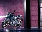 2025 Yamaha MT-07 Pure