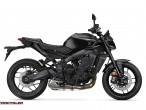 2025 Yamaha MT-09