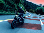 2025 Yamaha MT-09 Y-AMT