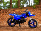 2025 Yamaha PW 50