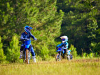 2025 Yamaha PW 50
