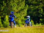 2025 Yamaha PW 50