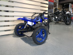 2025 Yamaha PW 50