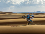 2025 Yamaha Ténéré 700 Rally