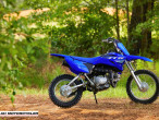 2025 Yamaha TTR 110