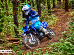 2025 Yamaha TTR 125