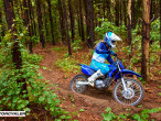 2025 Yamaha TTR 125