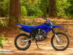 2025 Yamaha TTR 125