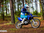2025 Yamaha TTR 125