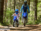 2025 Yamaha TTR 50