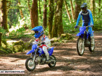 2025 Yamaha TTR 50