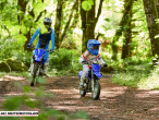2025 Yamaha TTR 50