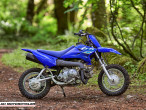 2025 Yamaha TTR 50